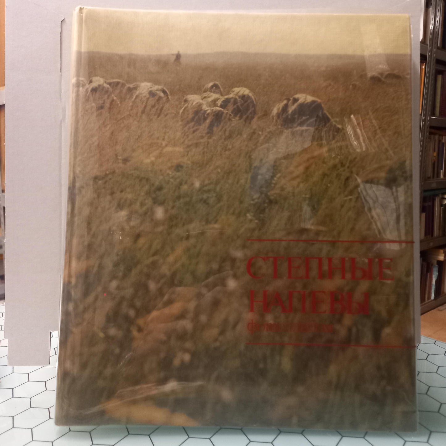 Livro em Russo (Bom Estado)