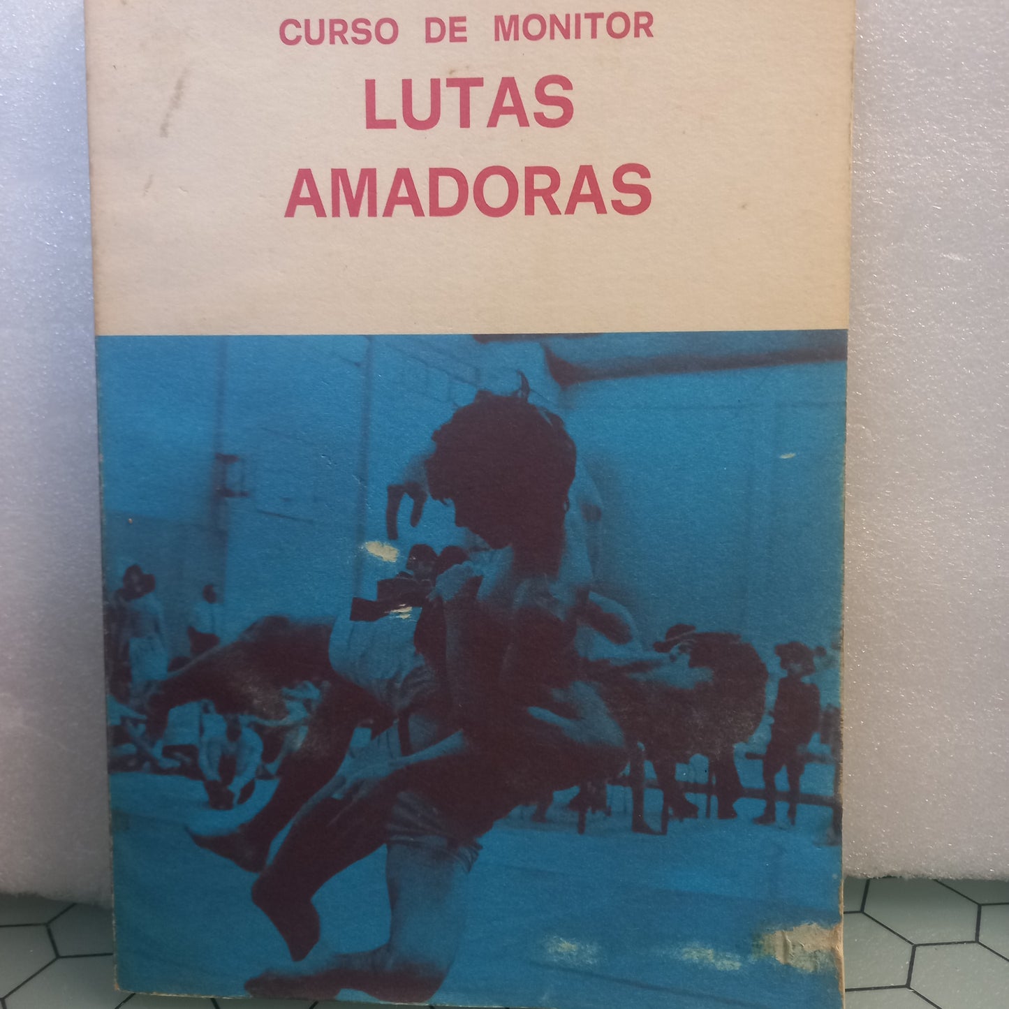 Curso de Munitor Lutas Amadoras (Bom Estado)