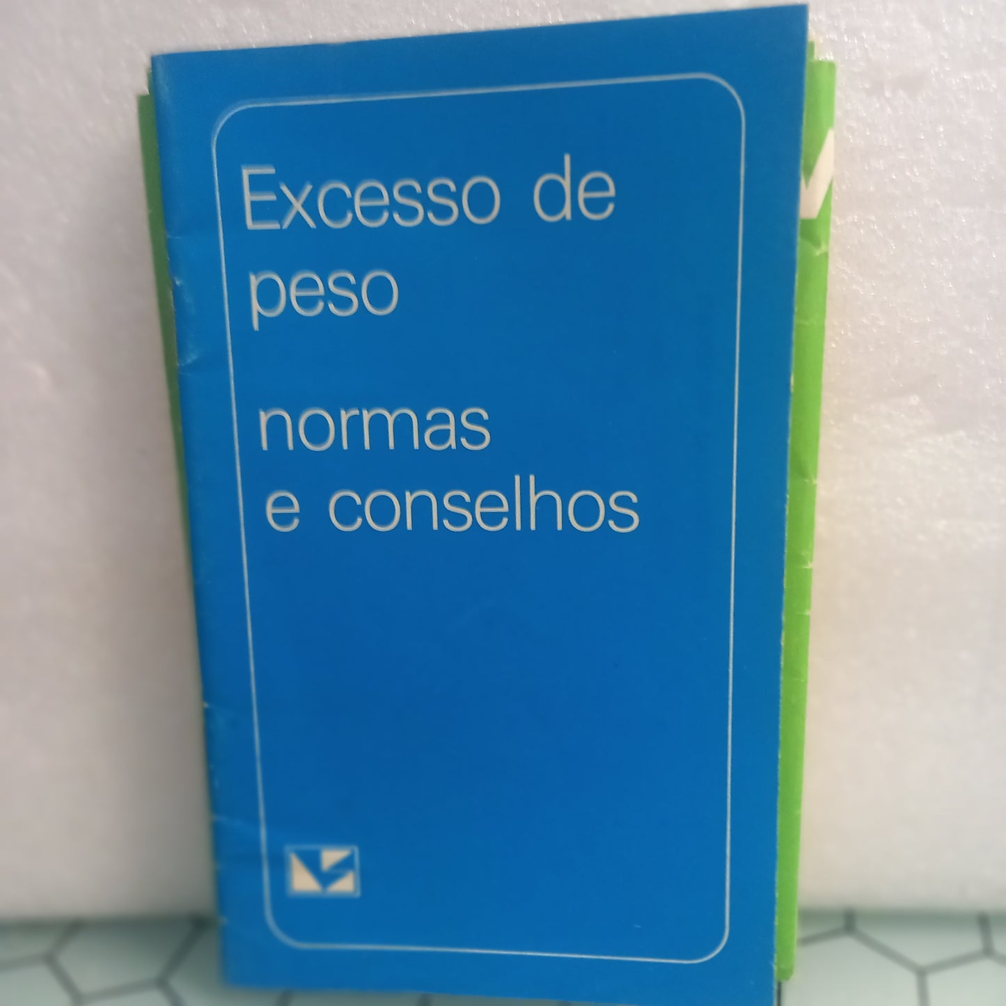 Excesso de Peso Normas e Conselhos (Usado)