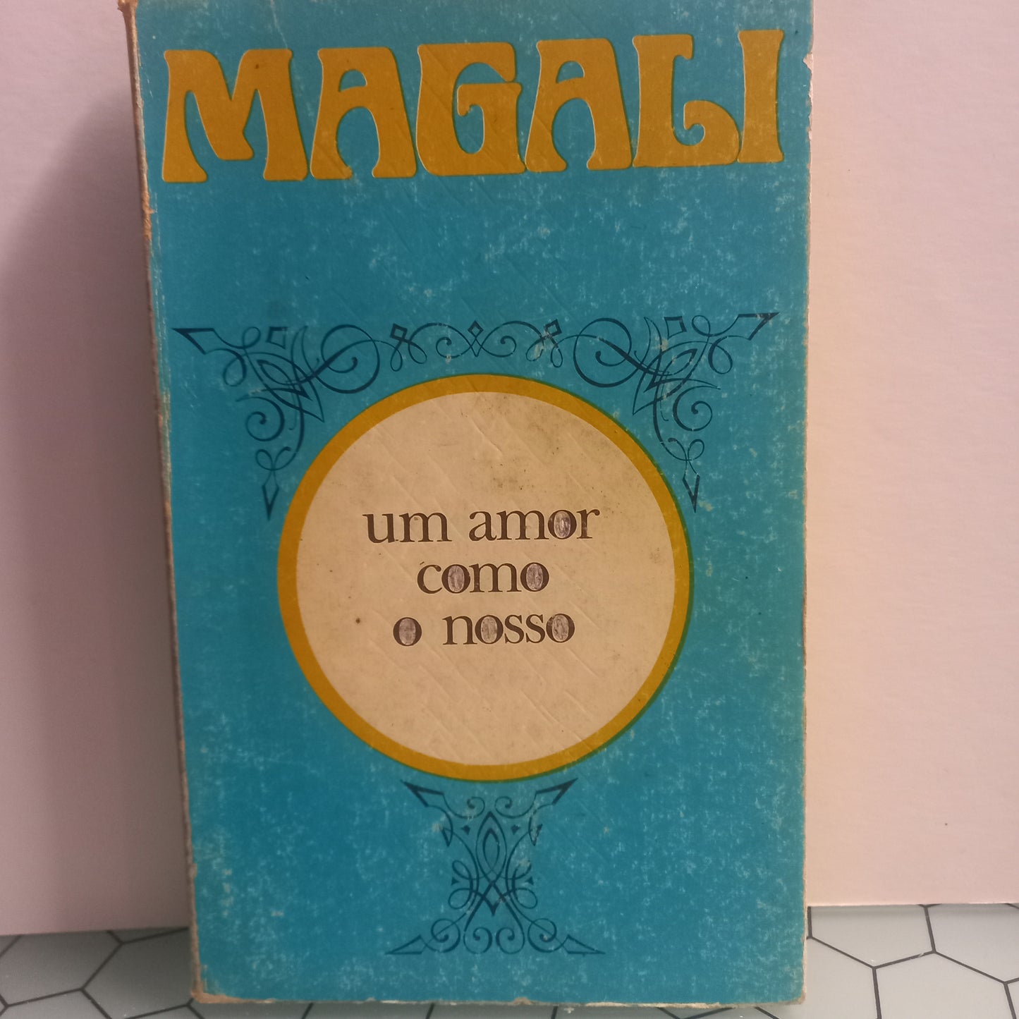 Um Amor como o Nosso (Usado)