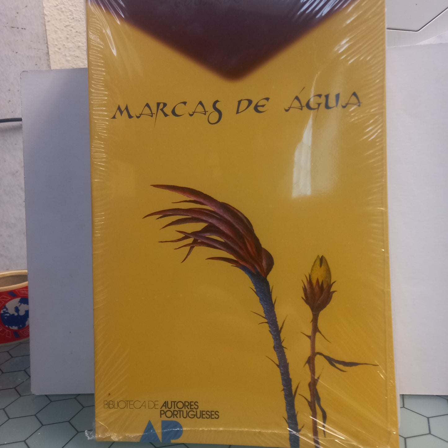 Marcas de Água - Poesia Escolhida 1971-1990