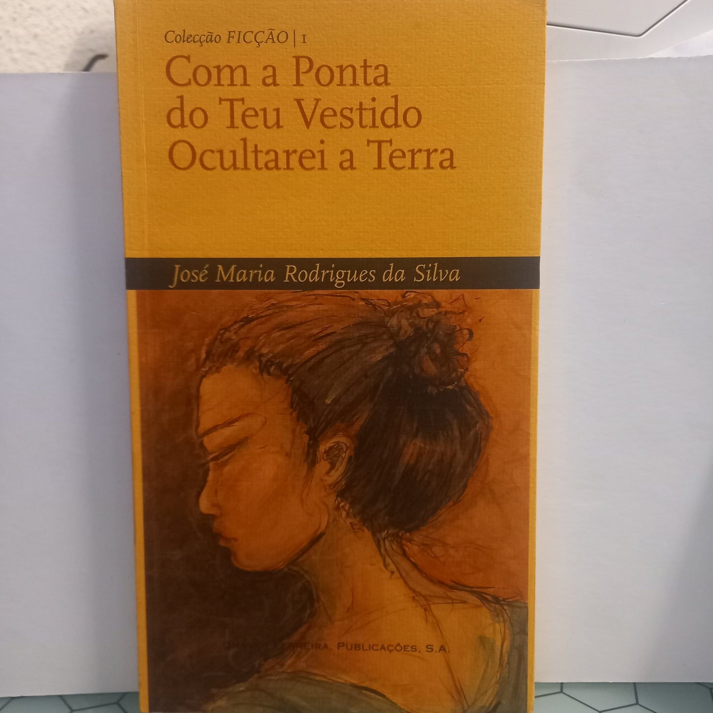 Com a Ponta do Teu Vestido Ocultarei a Terra