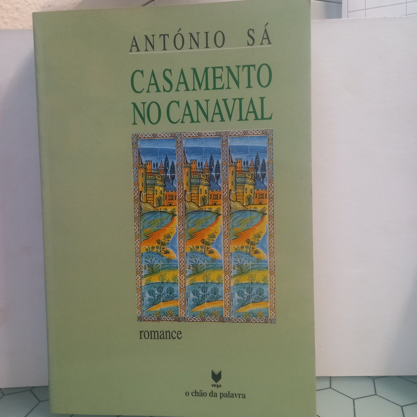 Casamento no Canavial (Bom Estado)