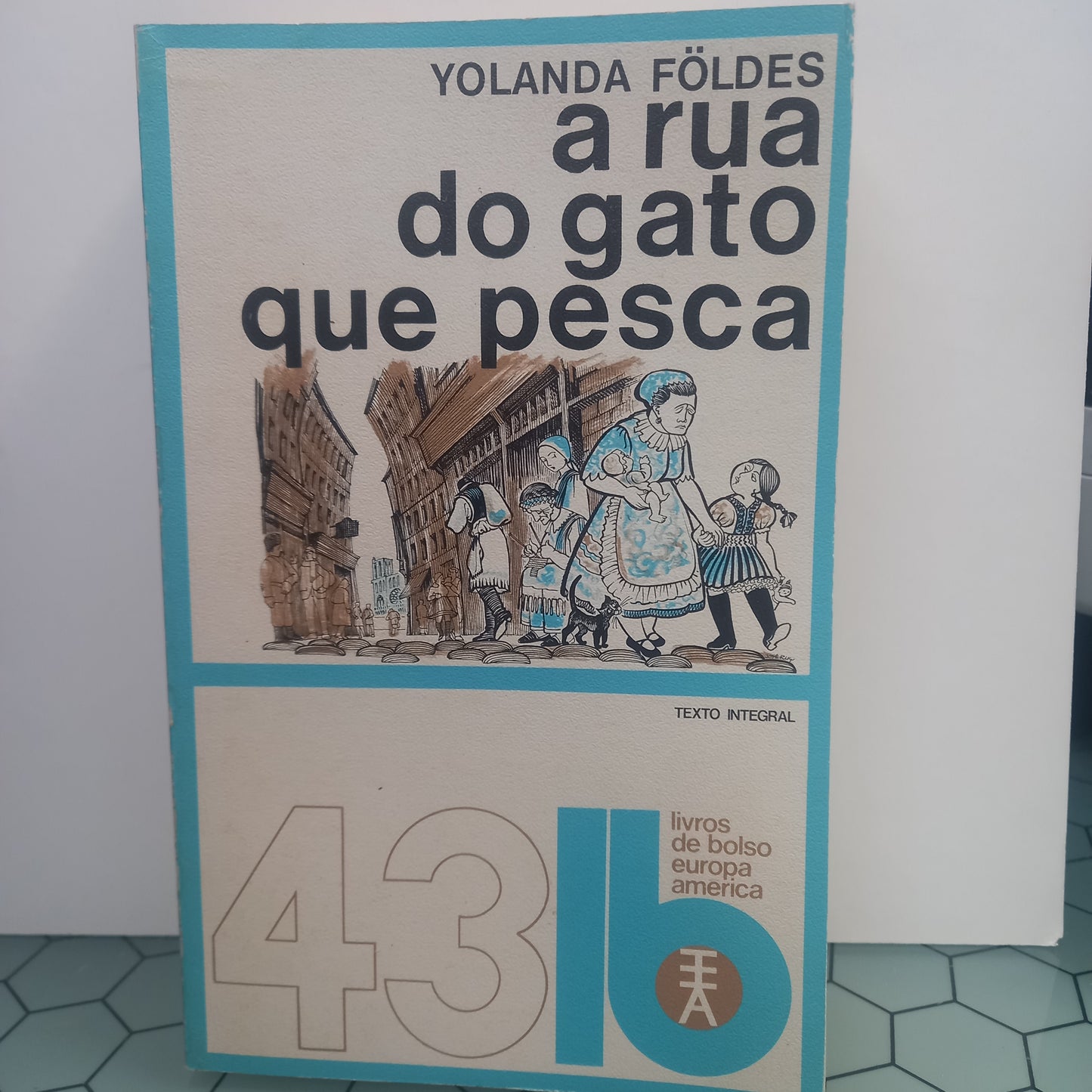 A Rua do Gato que Pesca (Bom Estado)