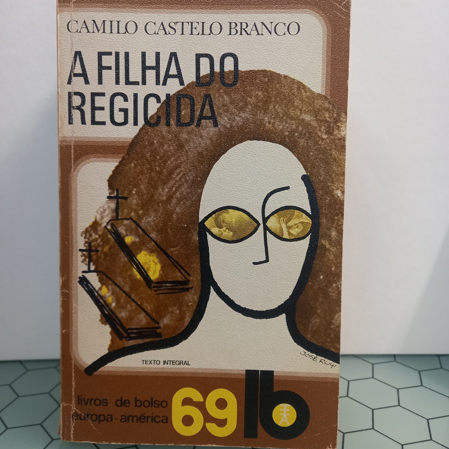 A Filha do Regicida (Usado)