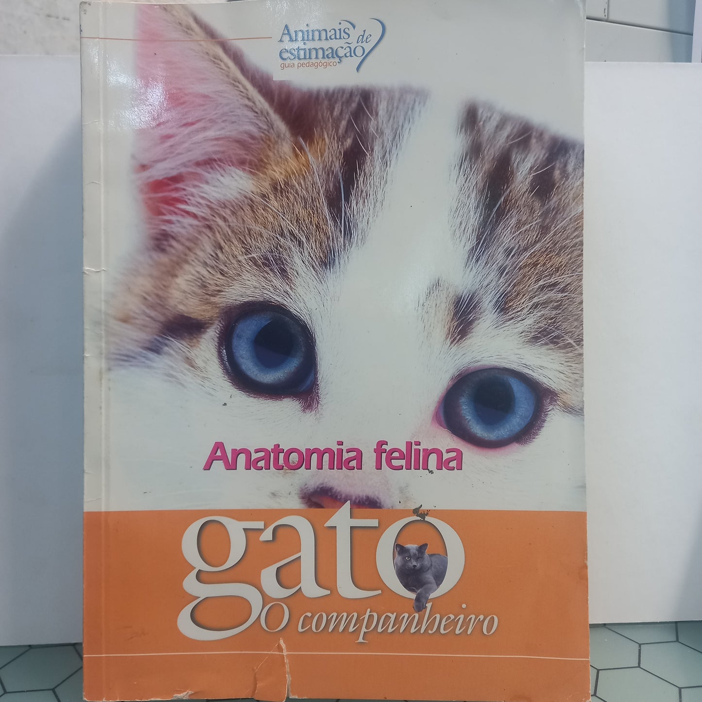 Anatomia Felina (Usado)