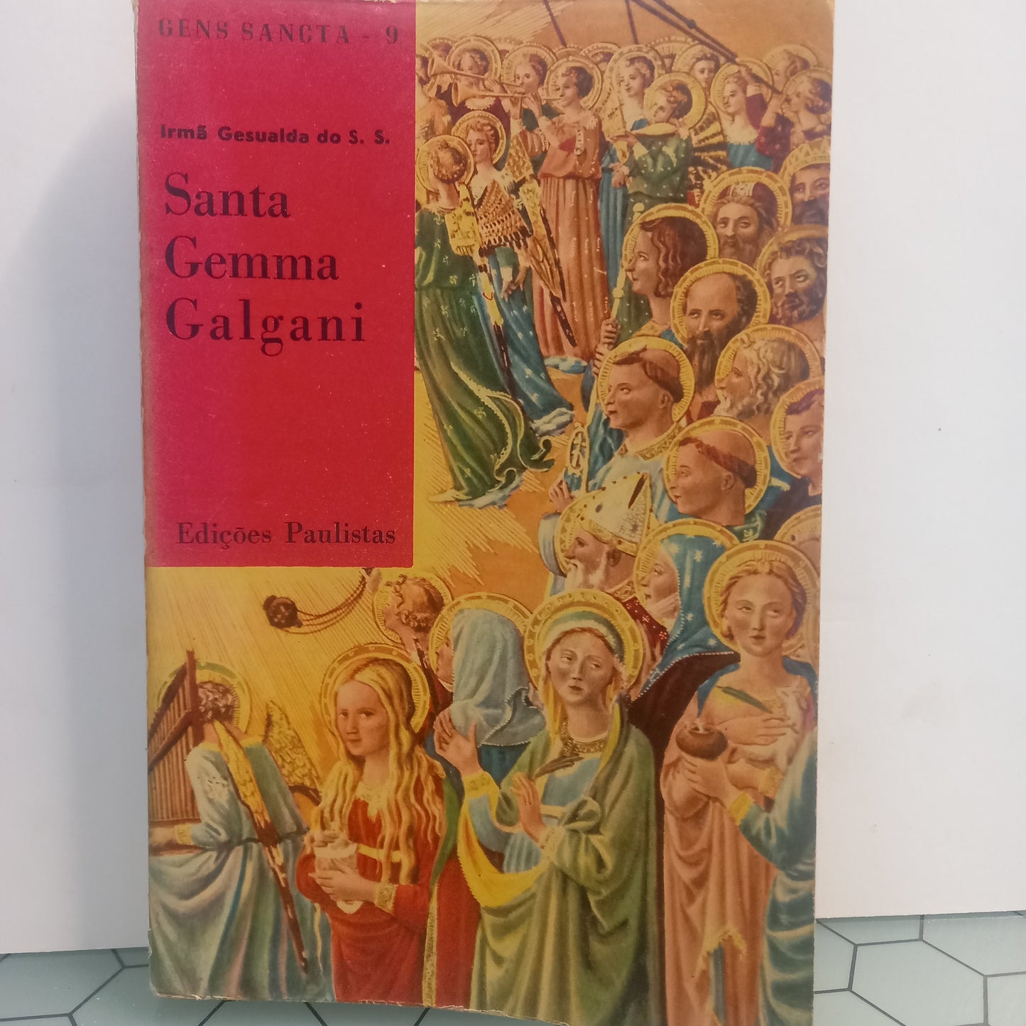 Santa Gemma Galgani (Usado)