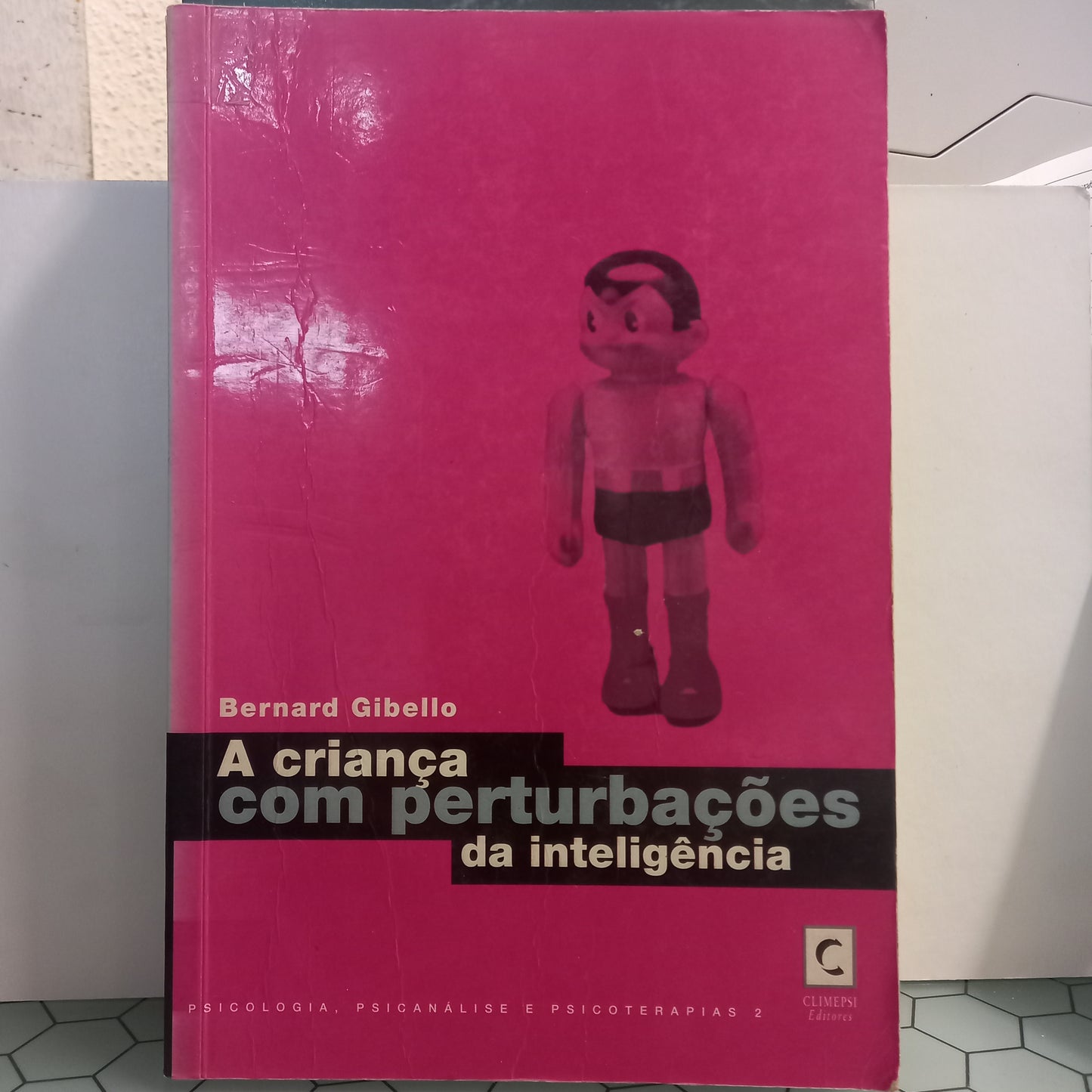 A Criança com Perturbações da Inteligência (Usado)