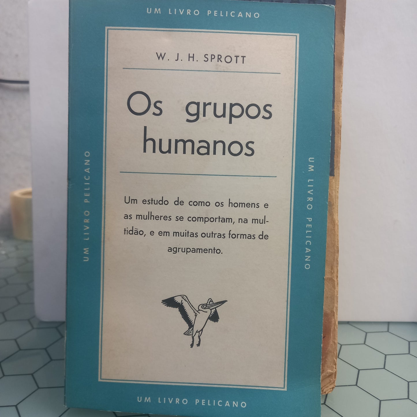 Os Grupos Humanos (Usado)