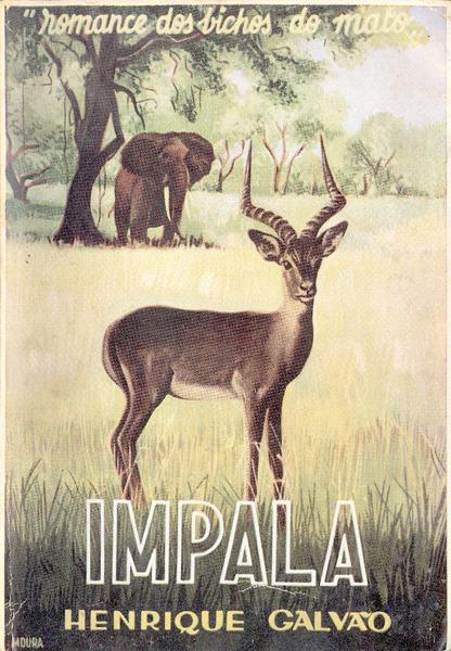 IMAGE NOT AVAILABLE
