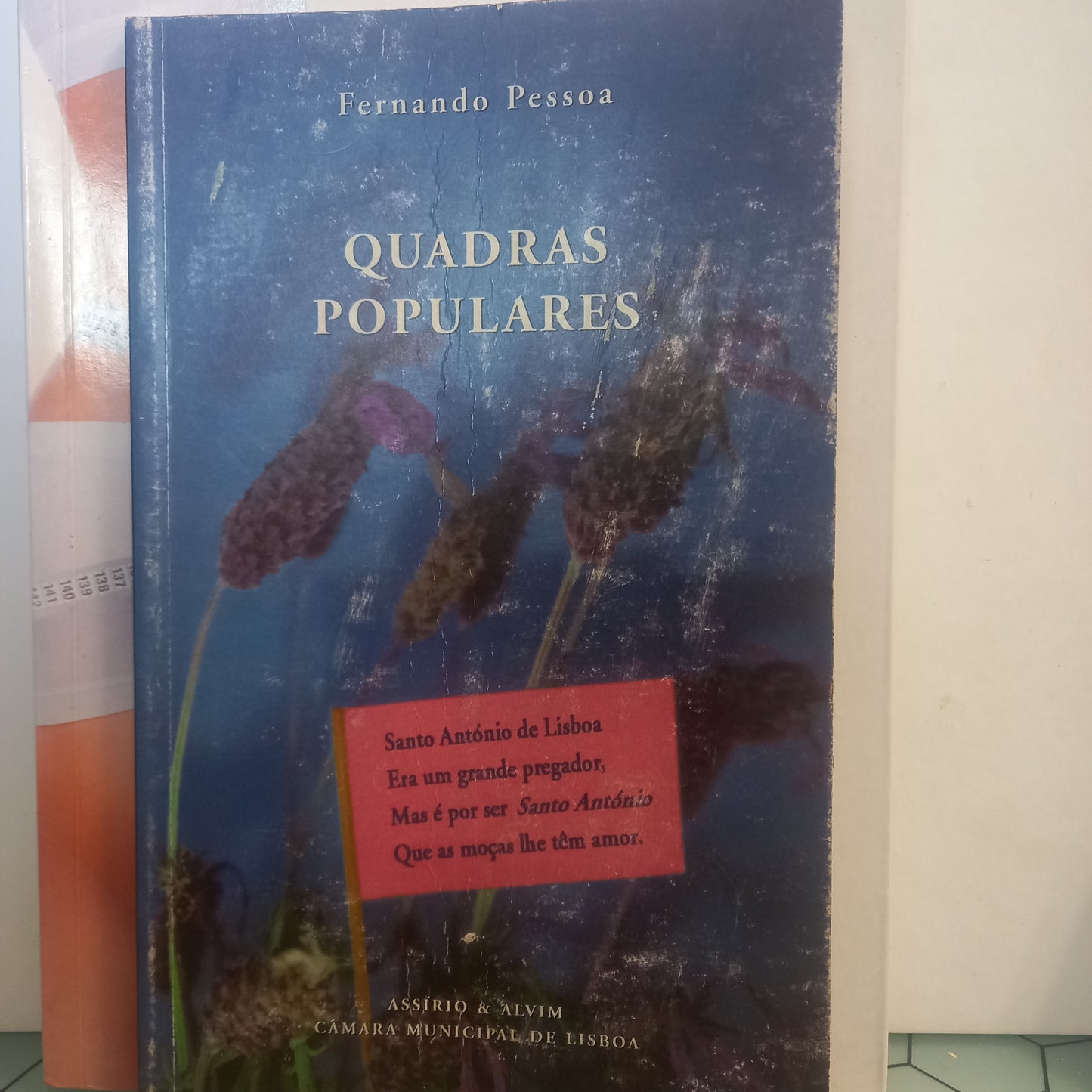 Quadras Populares (Usado)