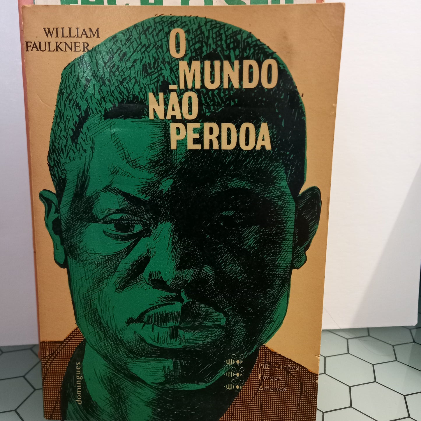 O Mundo Não Perdoa (Usado)