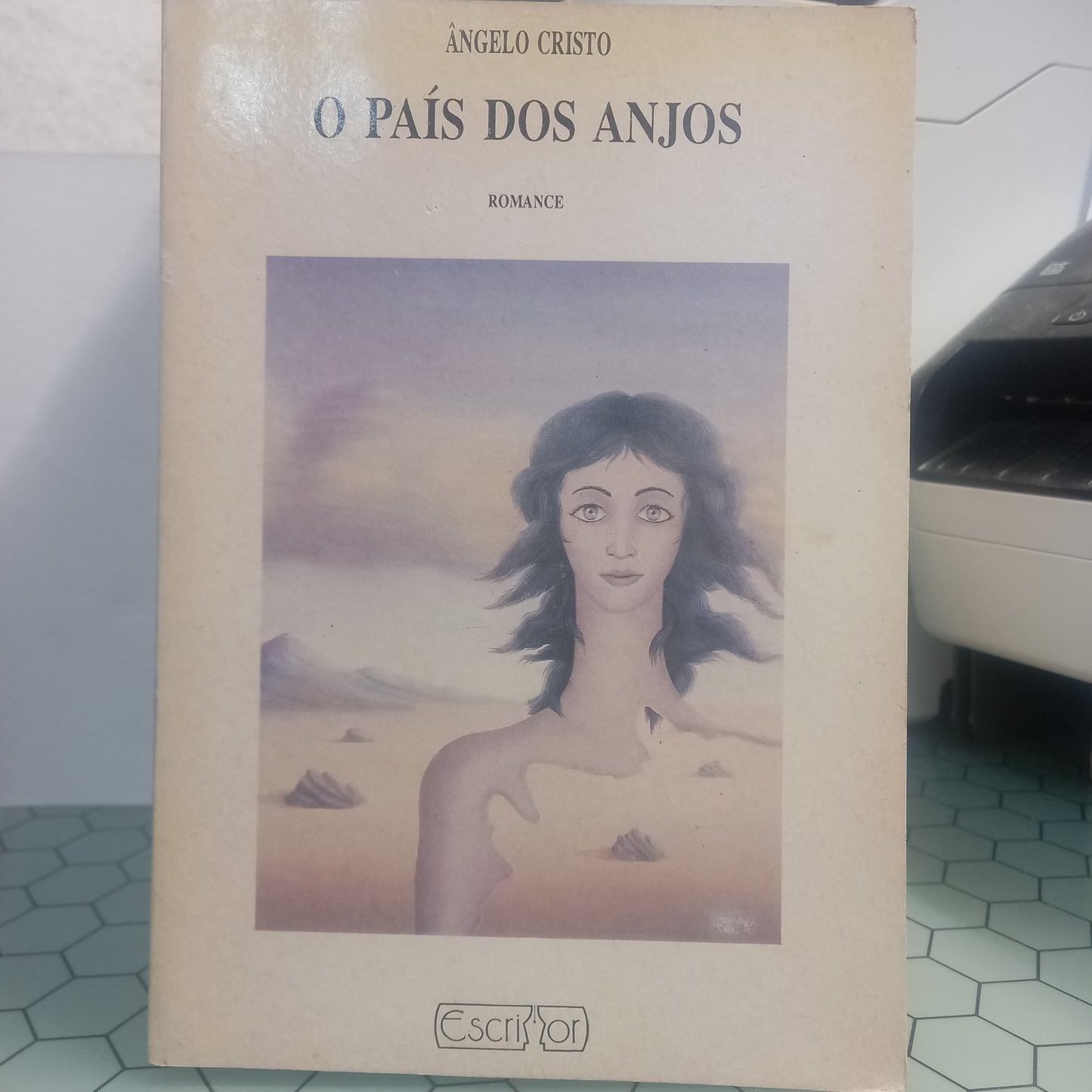O País dos Anjos (Bom Estado)
