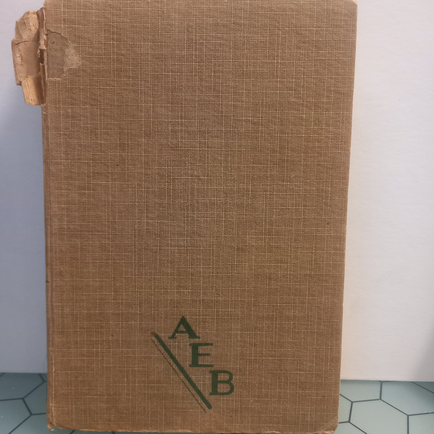 A Mulher Jogada aos Dados (Usado)