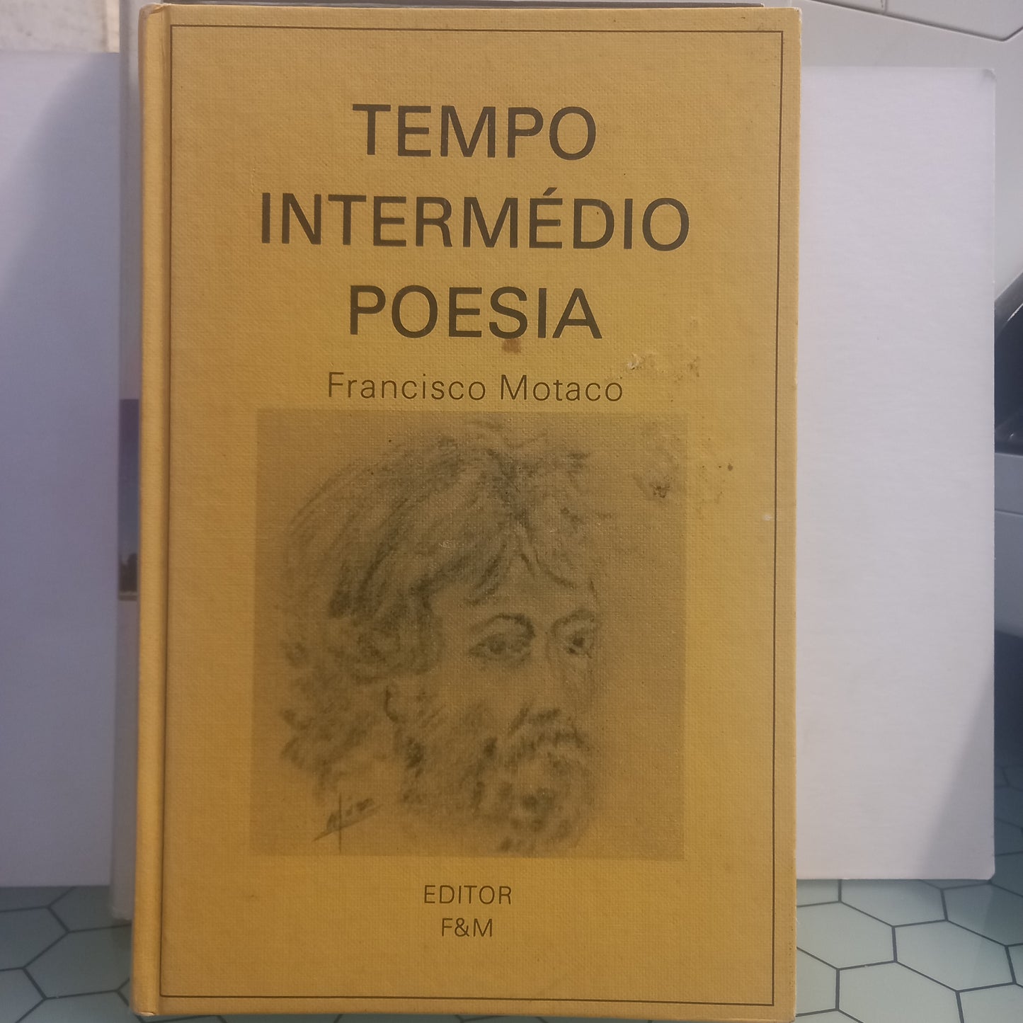 Tempo Intermédio Poesia (Bom Estado)