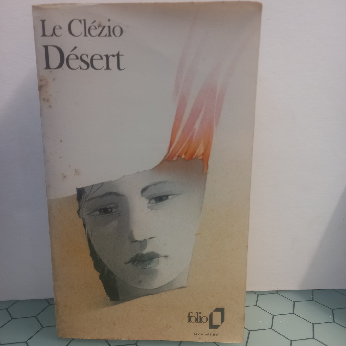 Désert (Usado) (CAPA DIF)