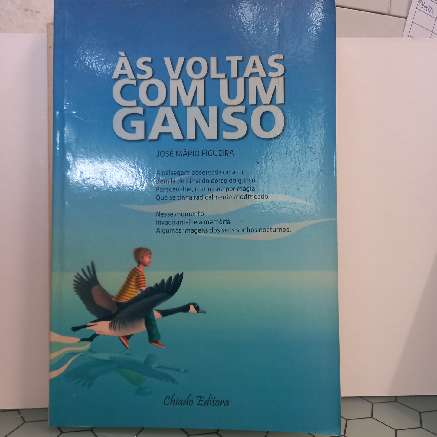 Às Voltas com um Ganso (Bom Estado)