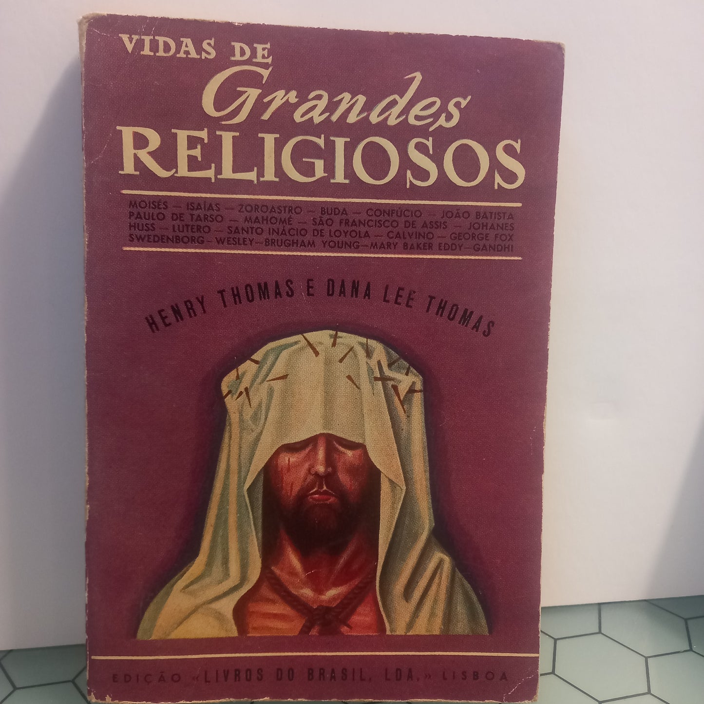Vidas de Grandes Religiosos (Usado)