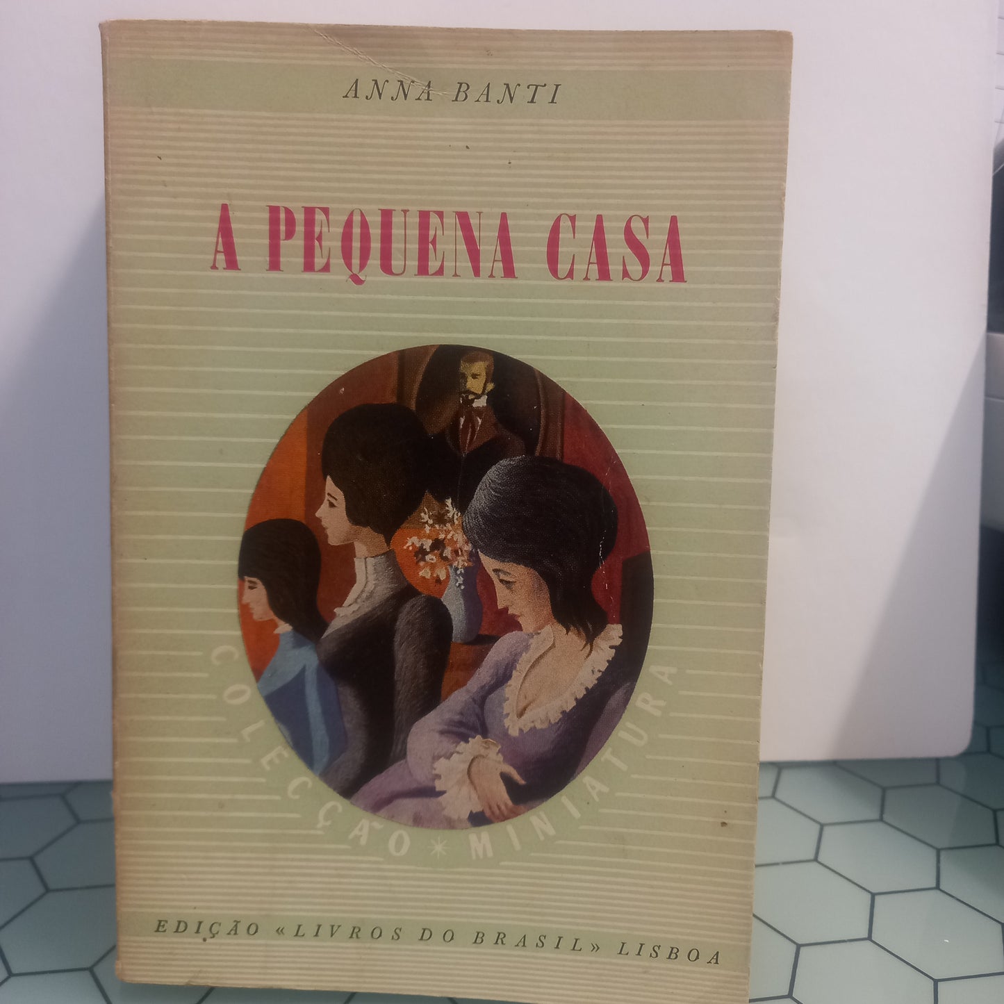 A Pequena Casa (Usado)