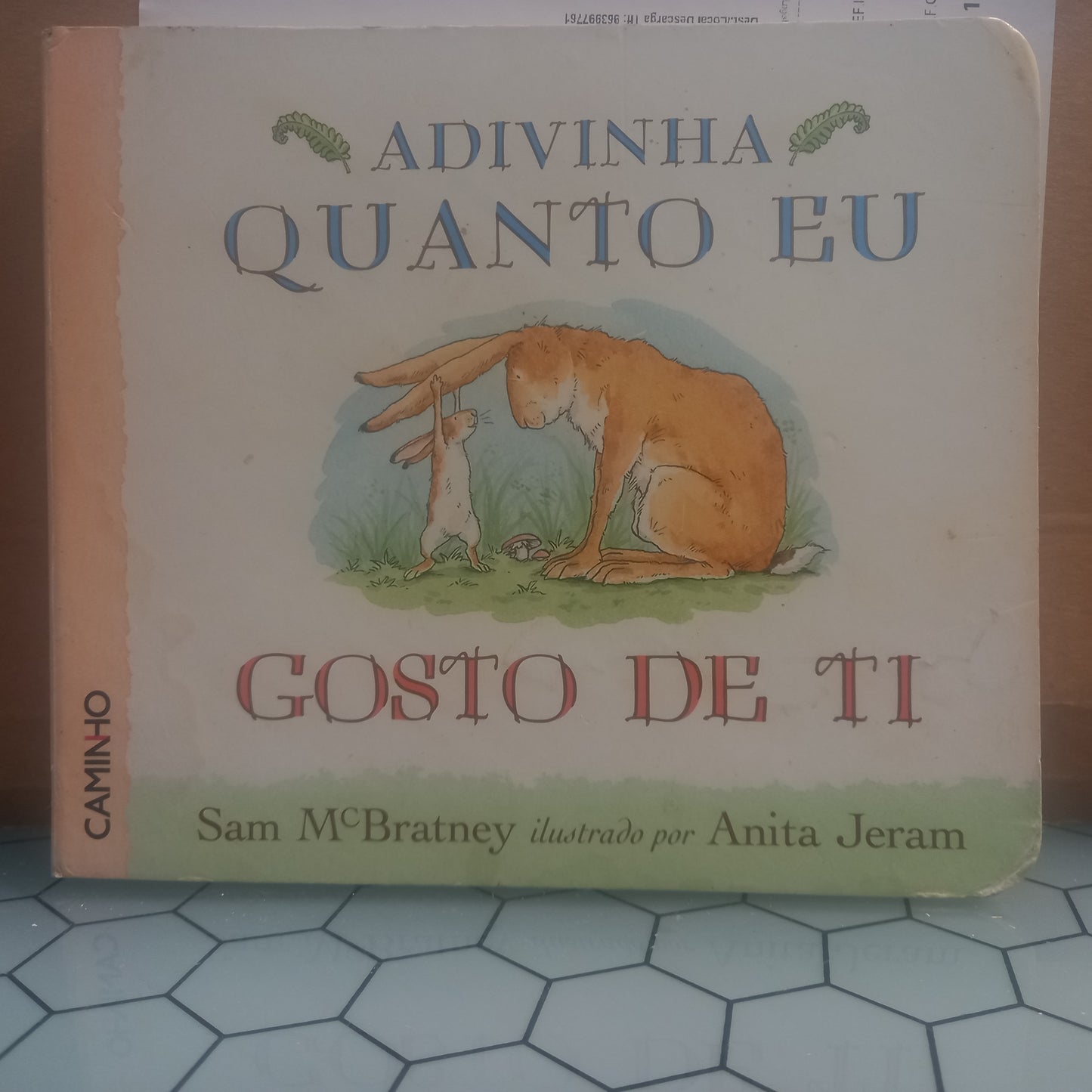 Adivinha Quanto eu Gosto de Ti (Usado)