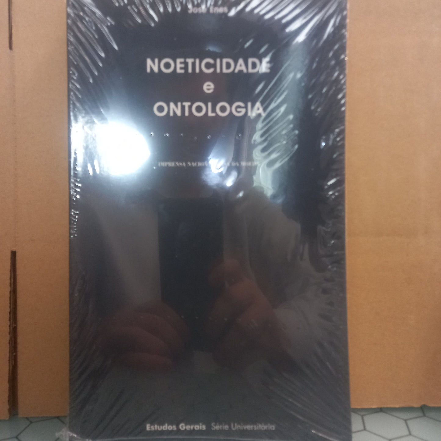 Noeticidade e Ontologia