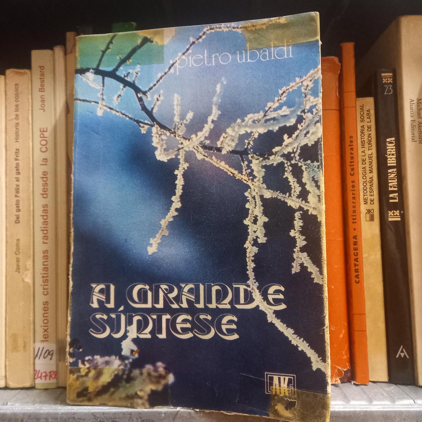 A Grande Síntese (Usado)