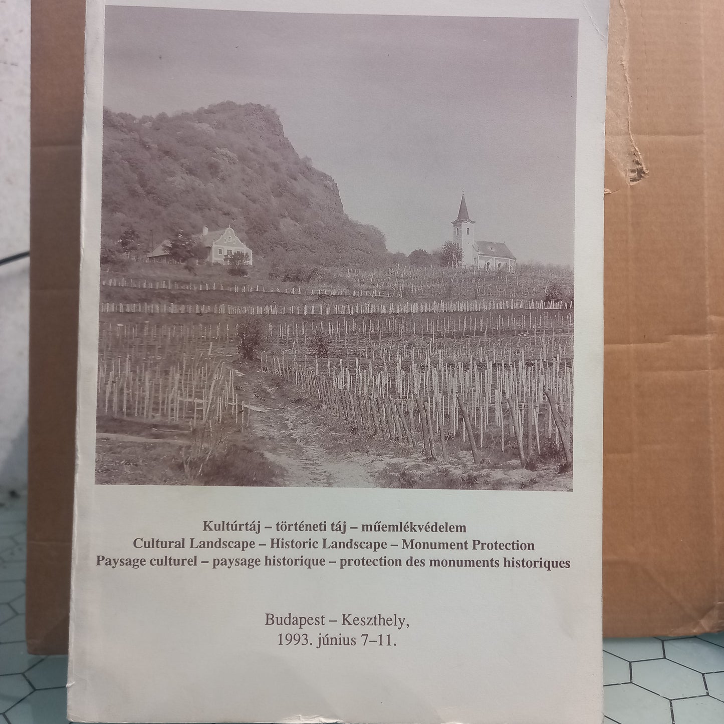 Cultural Landscape - Historic Landscape - Monument Protection (Bom Estado)