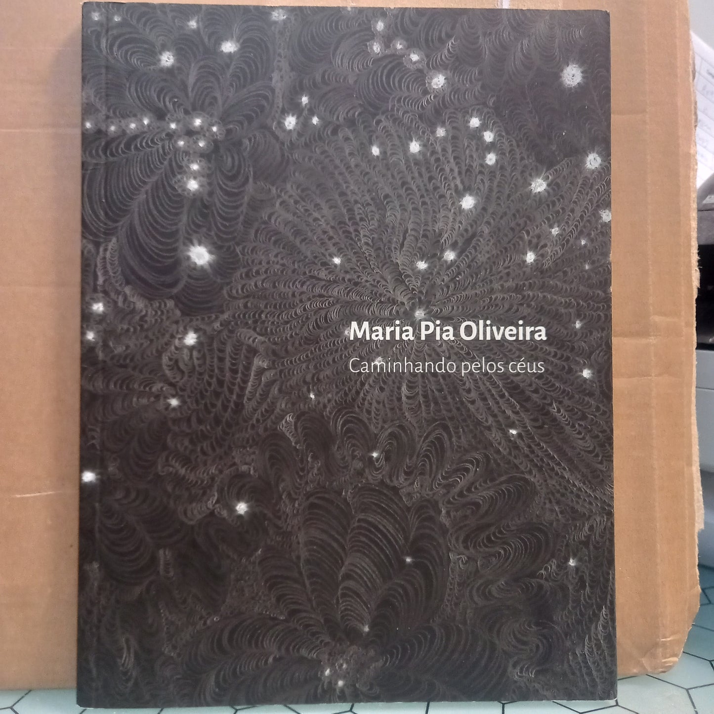 Caminhando pelos Céus