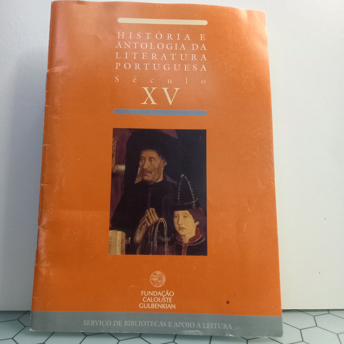 História e Antologia da Literatura Portuguesa Sec. XV (Bom Estado)