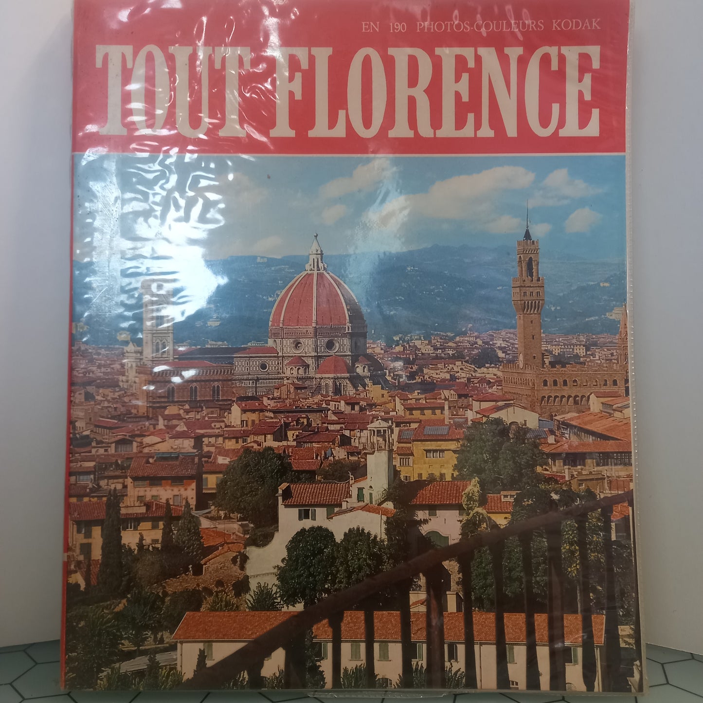 Tout Florence (Usado)
