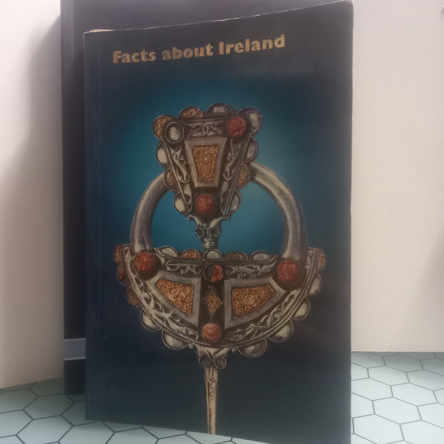 Facts About Ireland (Bom Estado)