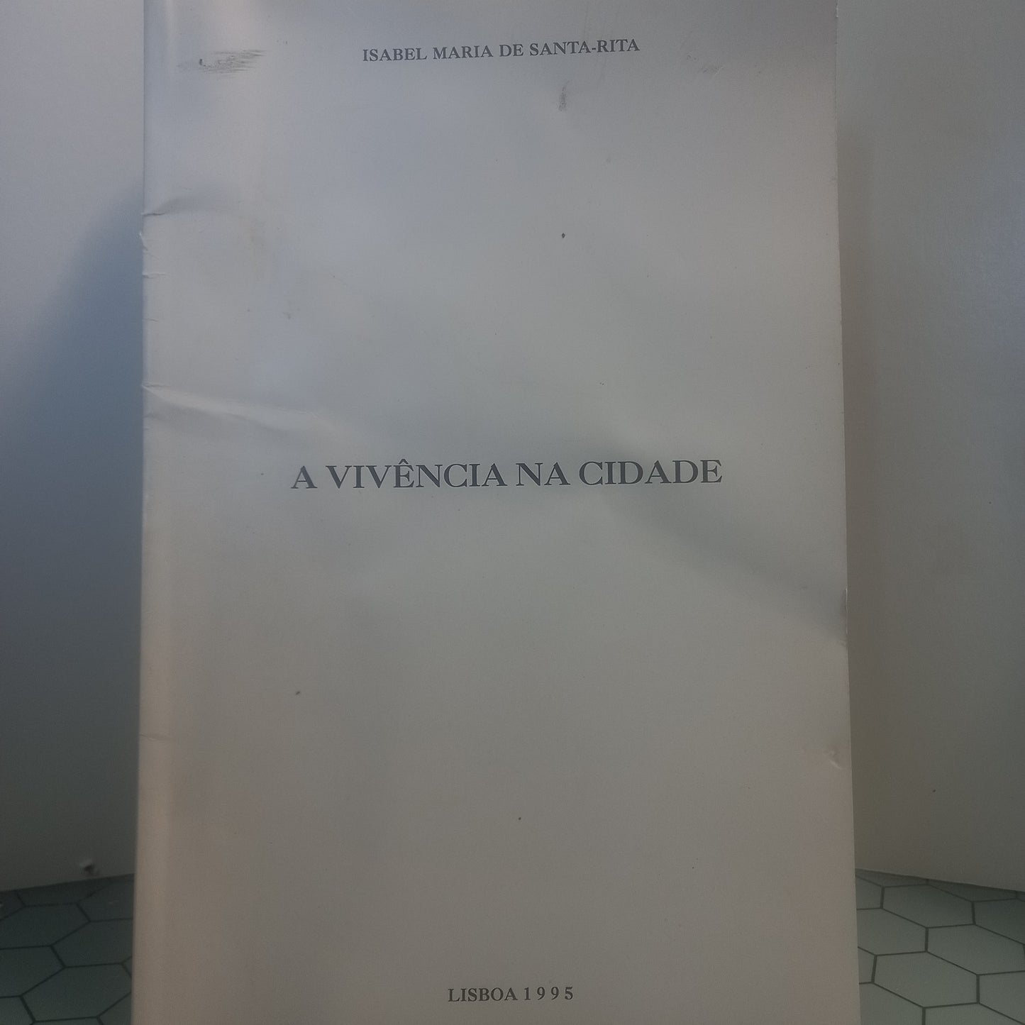 A Vivência na Cidade (Usado)