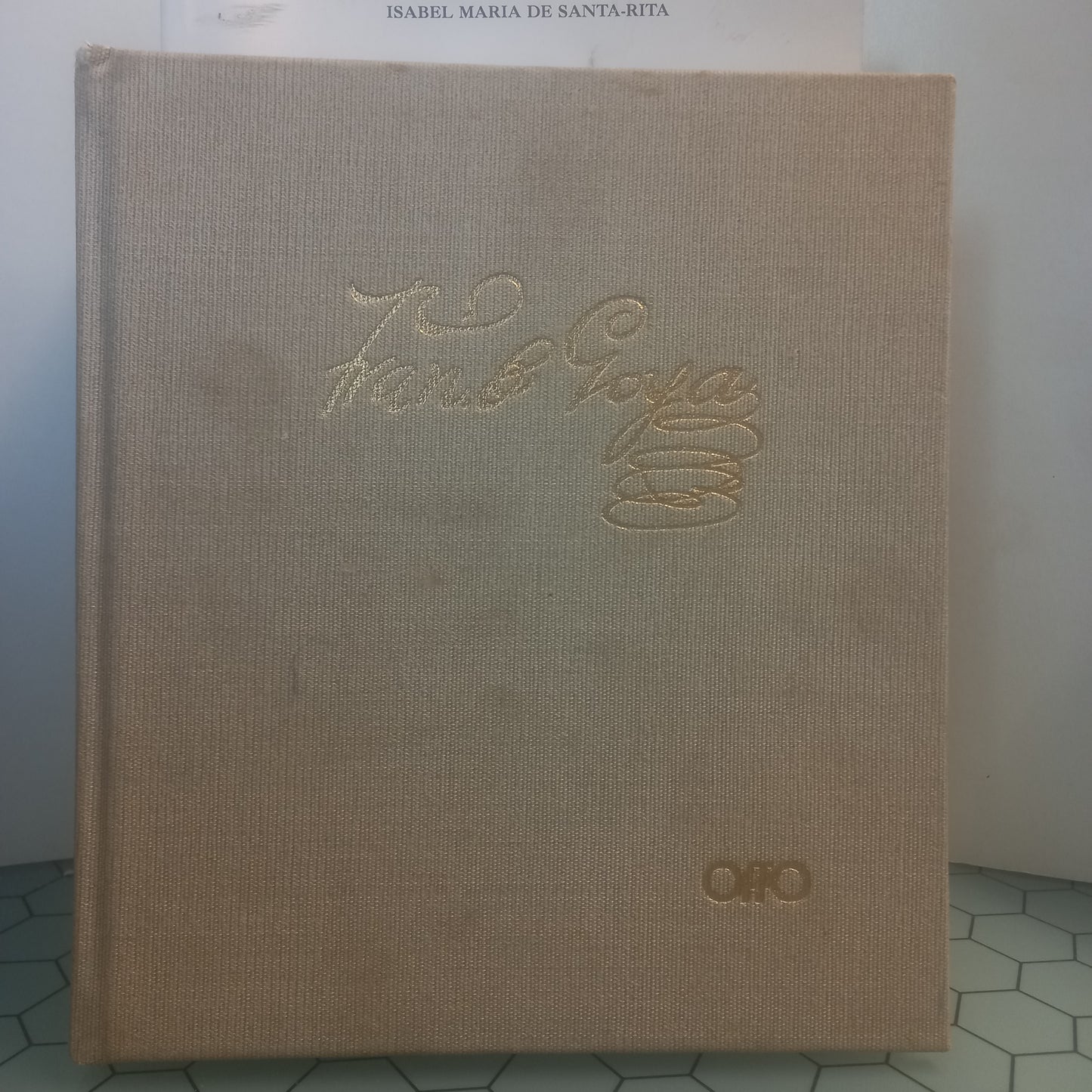 Coleccion Pintores Clasicos Goya (Usado)