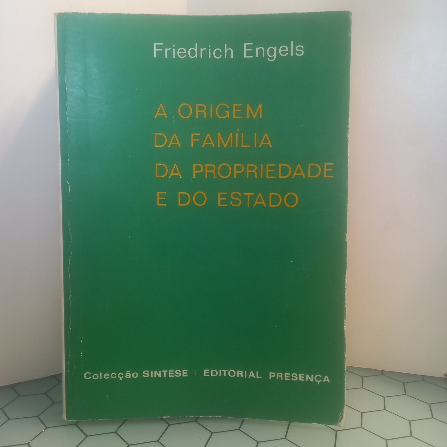 A Origem da Família da Propriedade e do Estado (Usado)