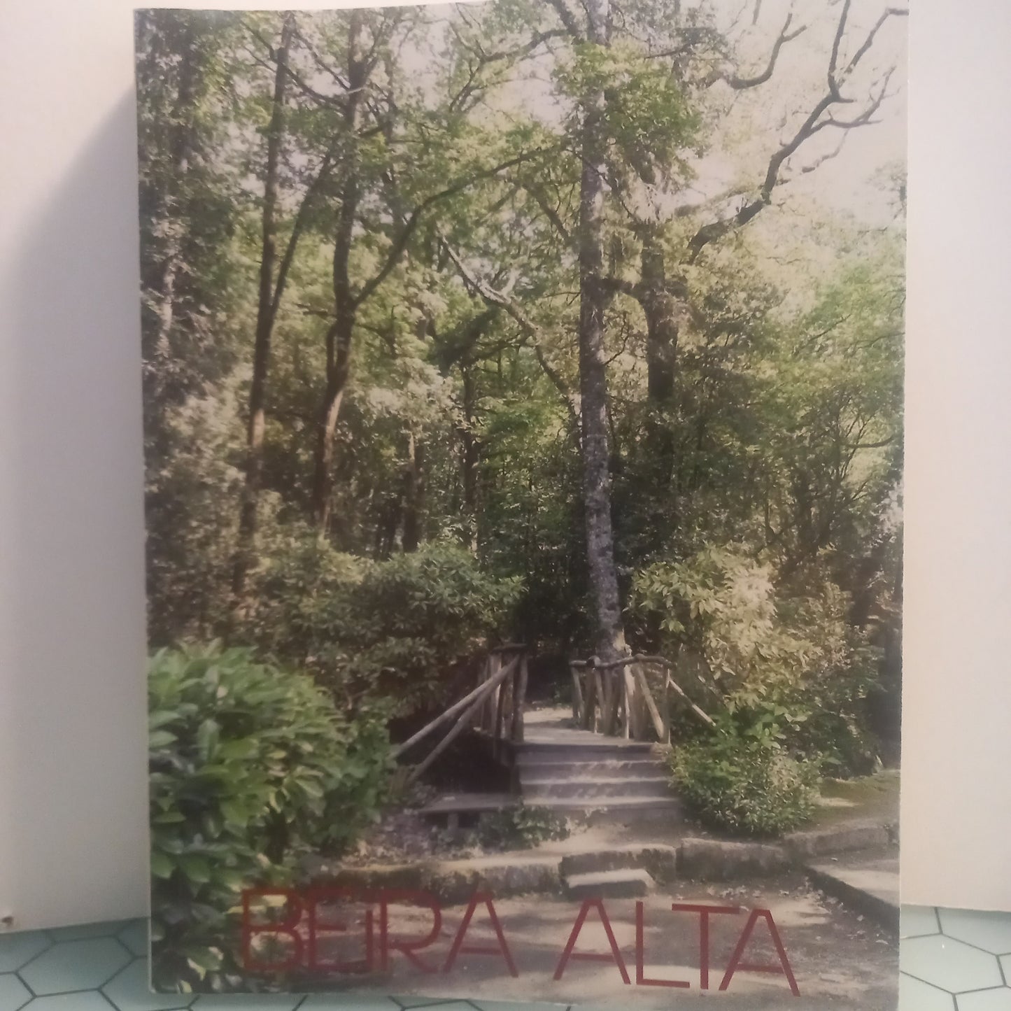 Beira Alta LXV (Bom Estado)