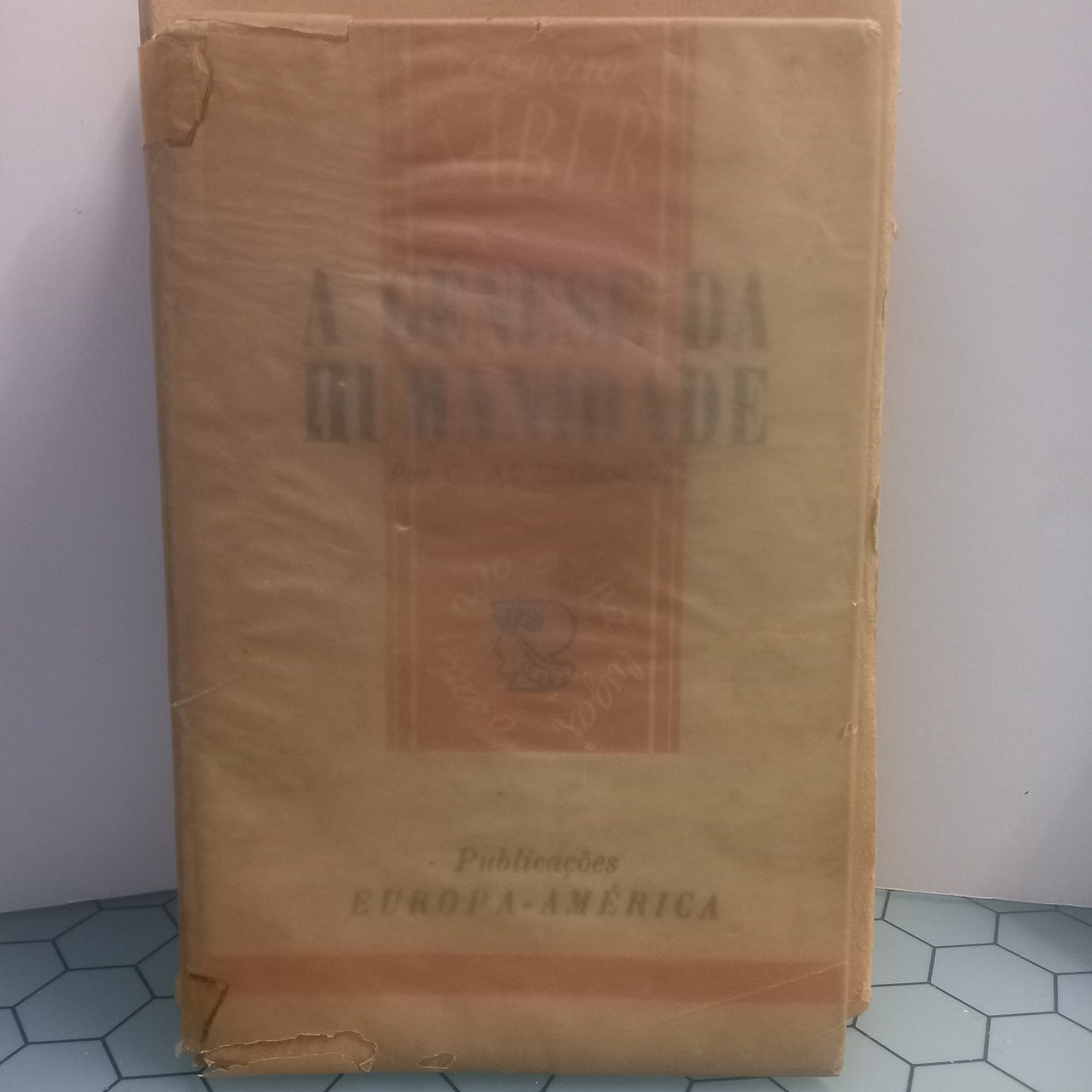 A Genese da Humanidade (Envelhecido)