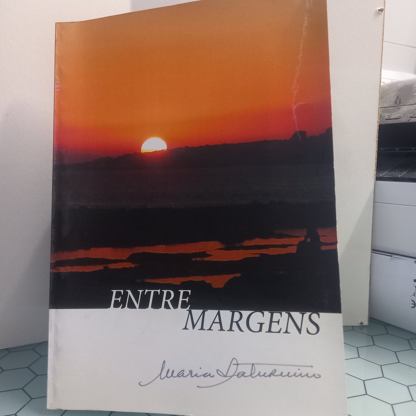 Entre Margens (Usado)