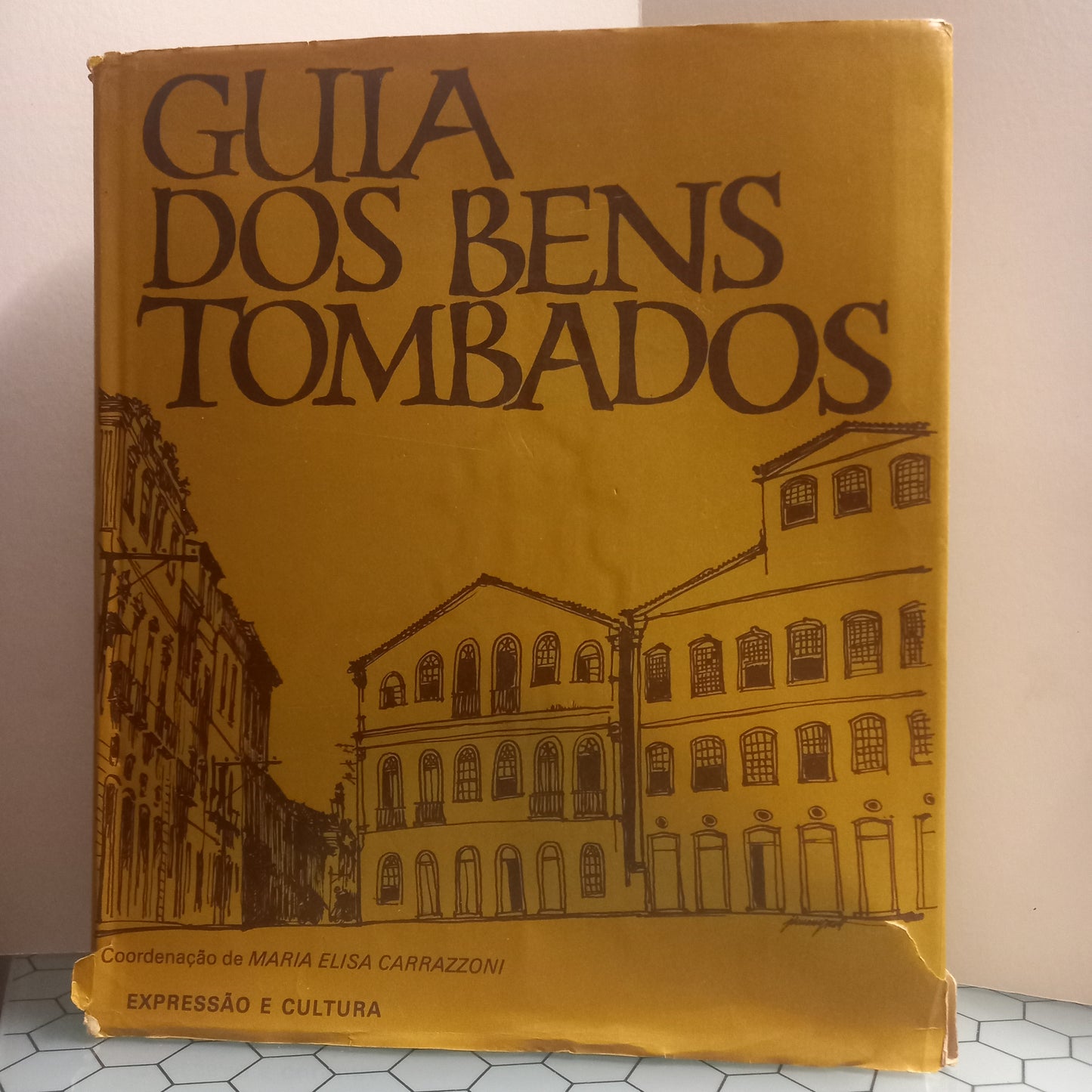 Guia dos bens tombados (Usado)