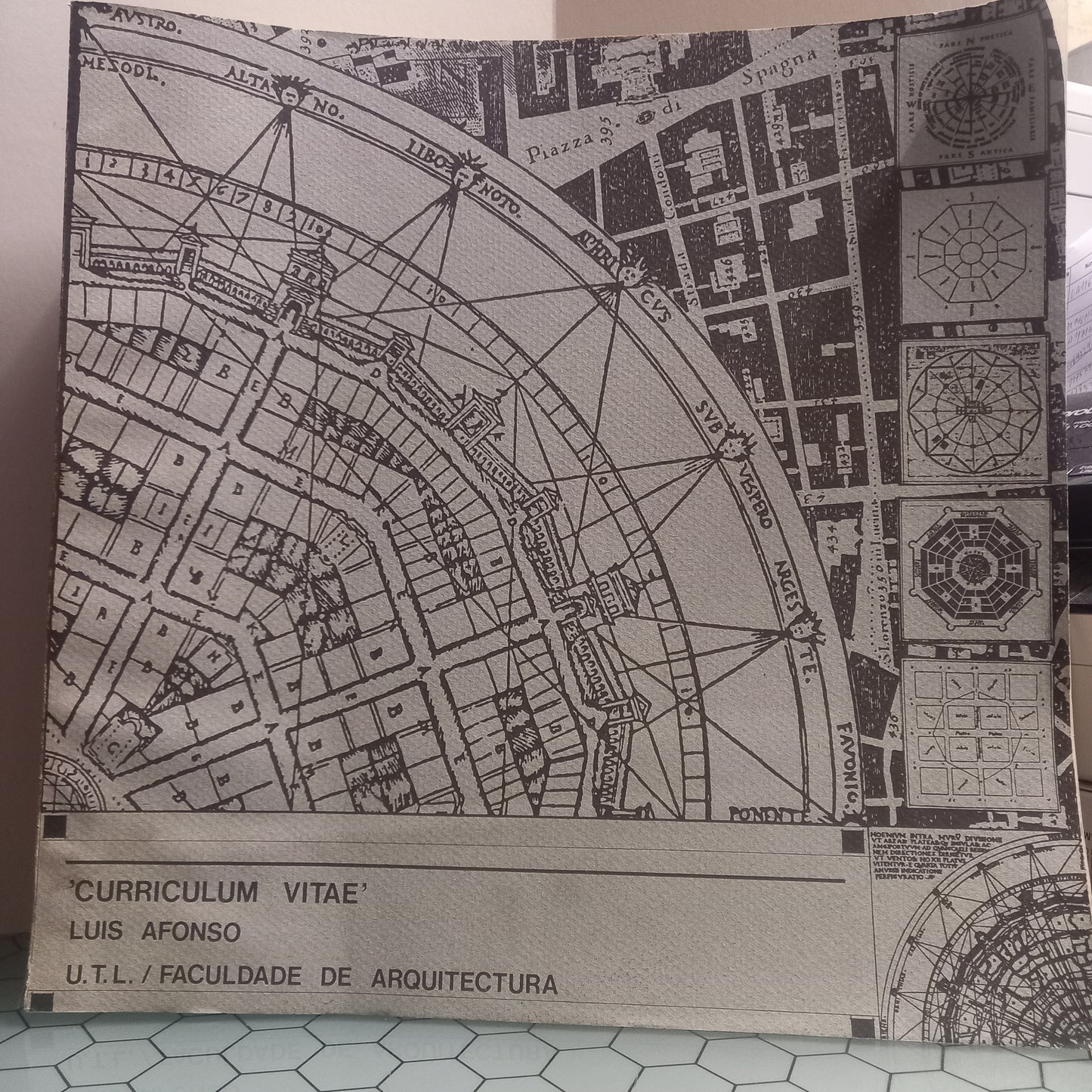 Curruculum Vitae Luis Afonso (Bom Estado)