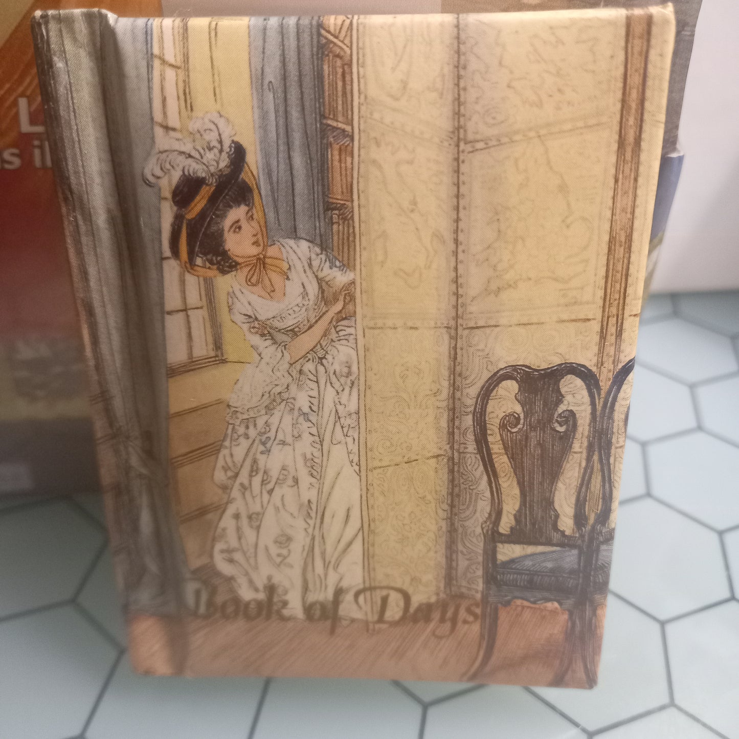 Book of Days (Como Novo)