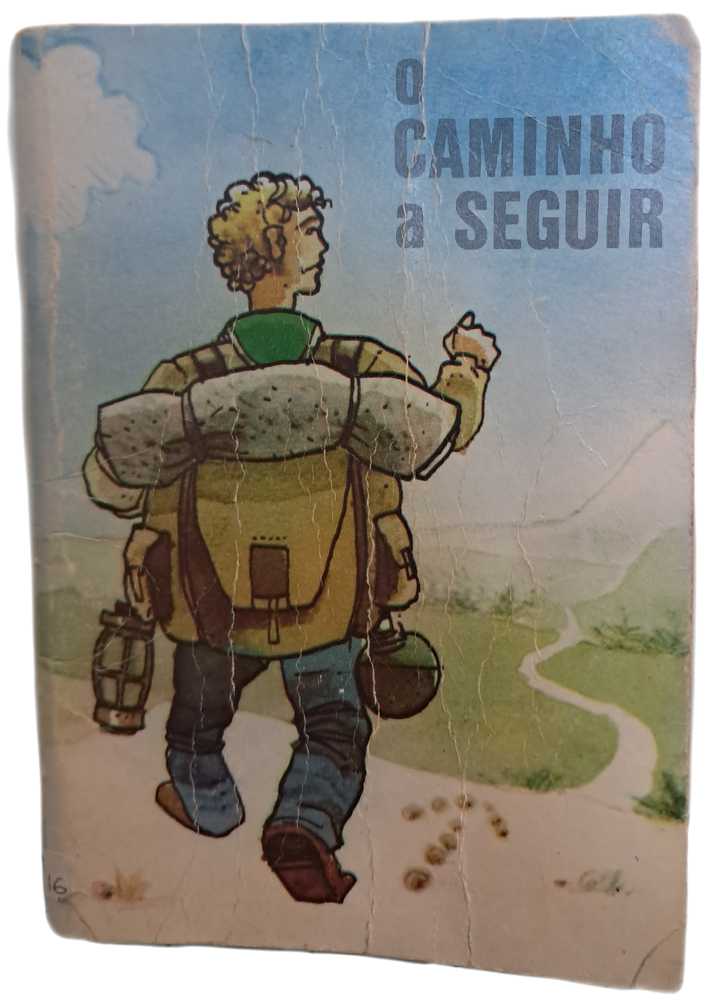 O Caminho a Seguir (Usado)