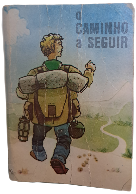 O Caminho a Seguir (Usado)