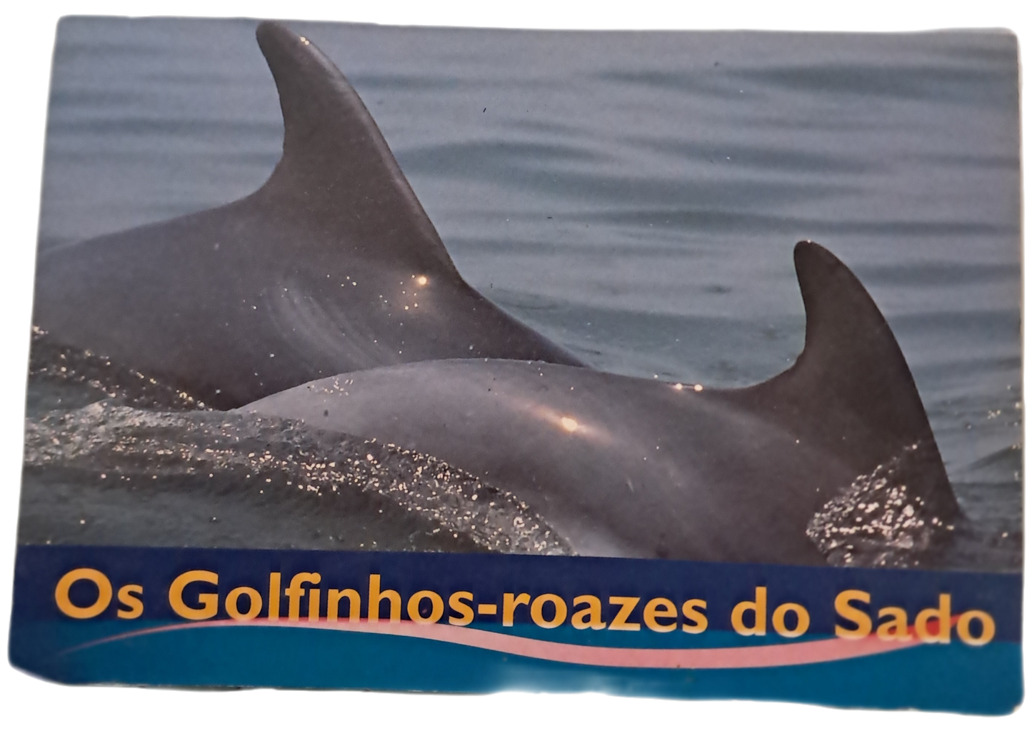 Livros Postais Os Golfinhos do Sado (Usado)