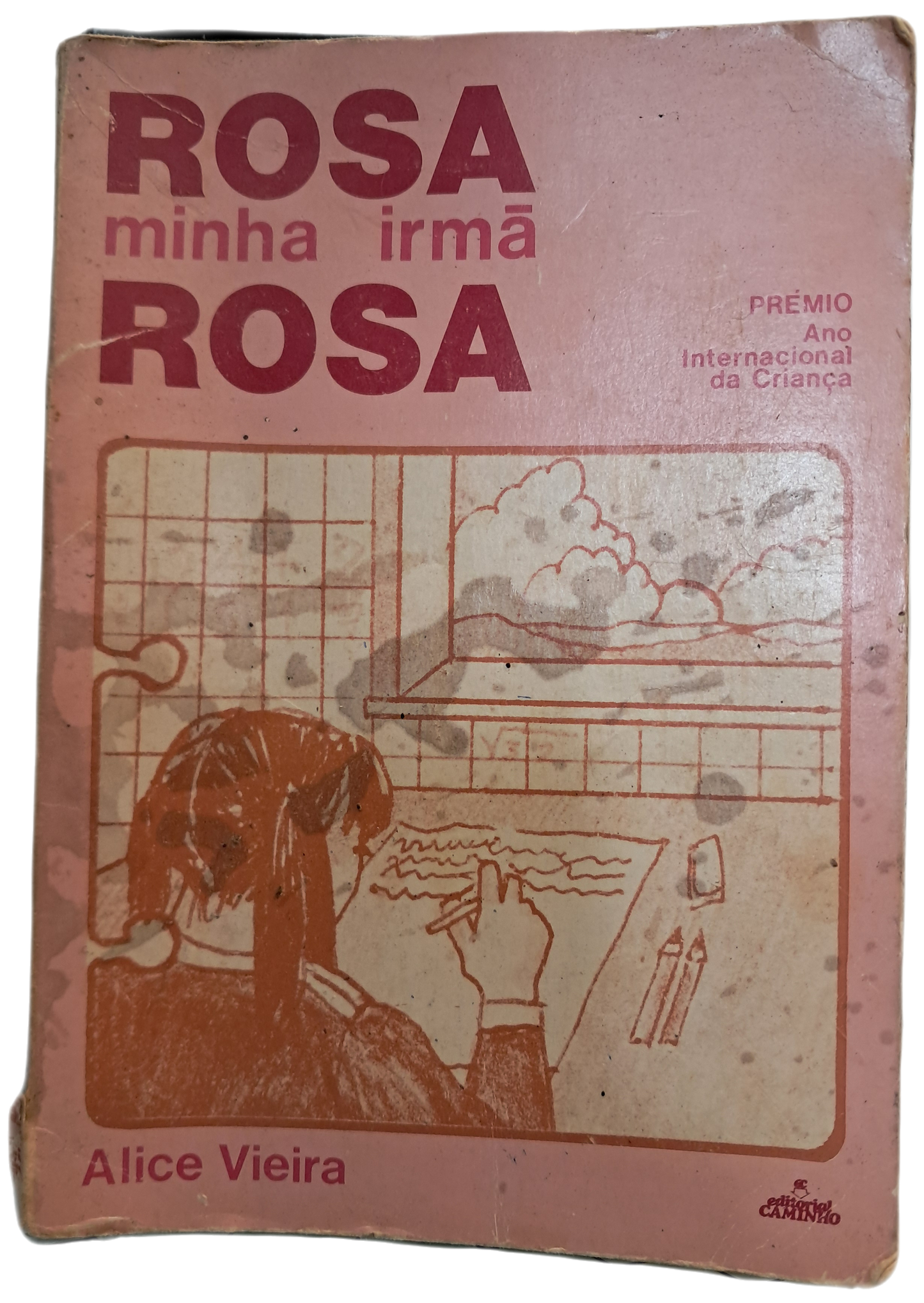 Rosa Minha Irmã Rosa (Usado)