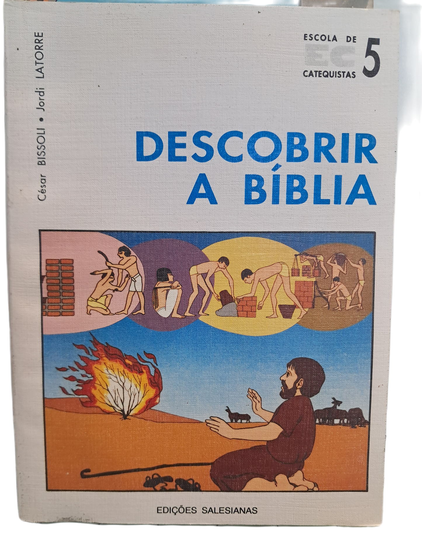 Descobrir a Bíblia (Bom Estado)