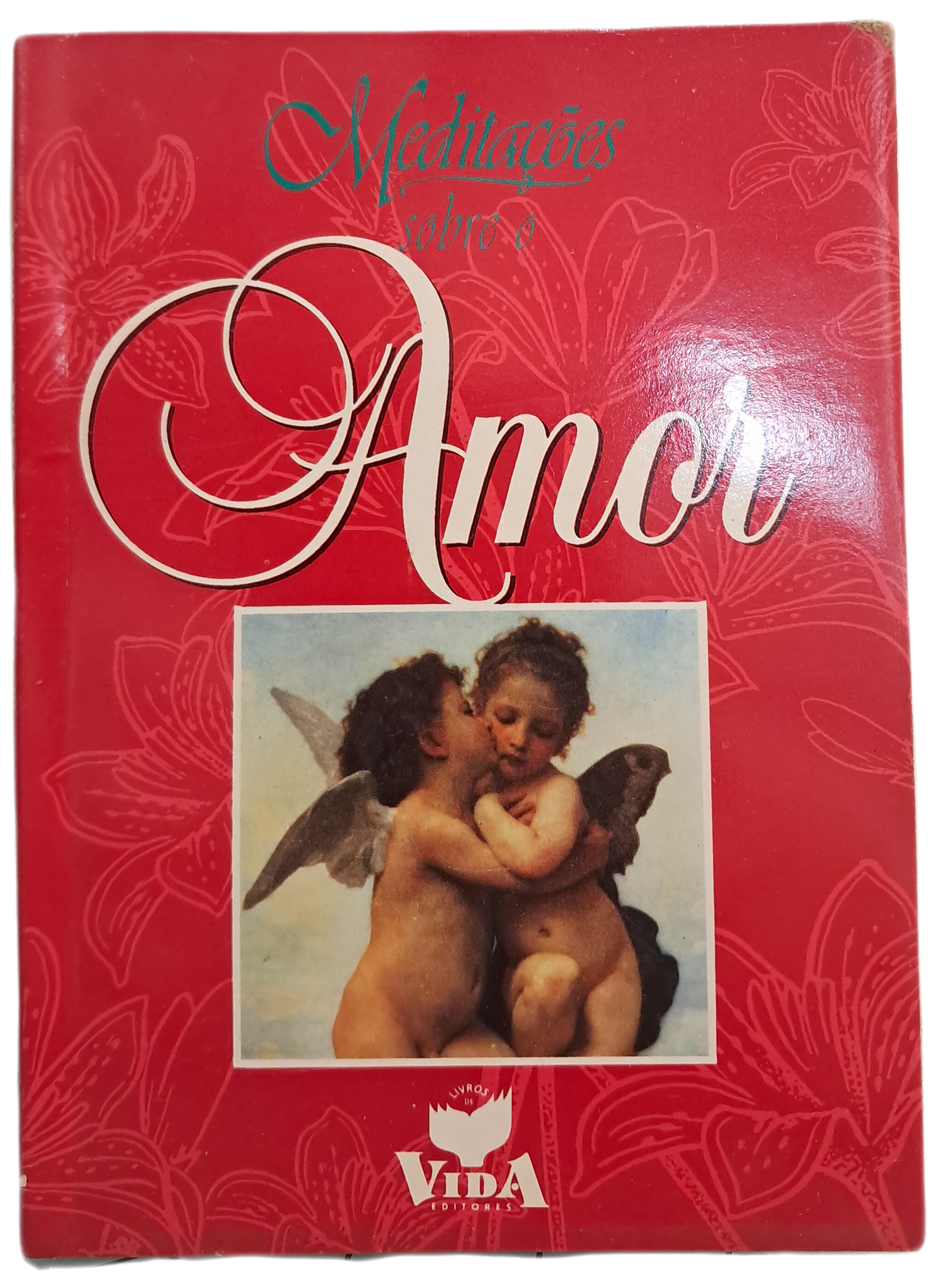 Meditações sobre o Amor (Muito Bom Estado)