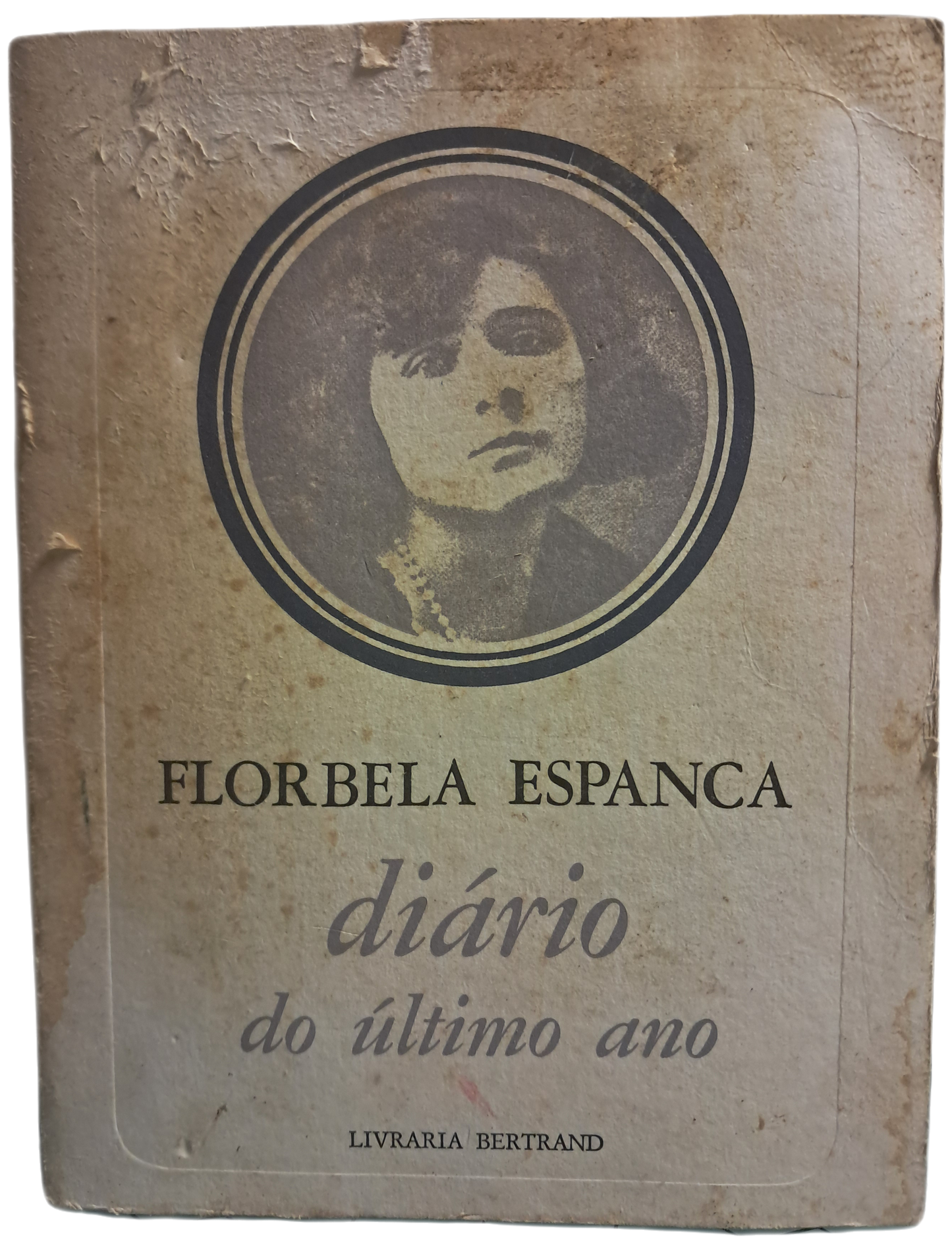 Diário do Último Ano (Envelhecido)