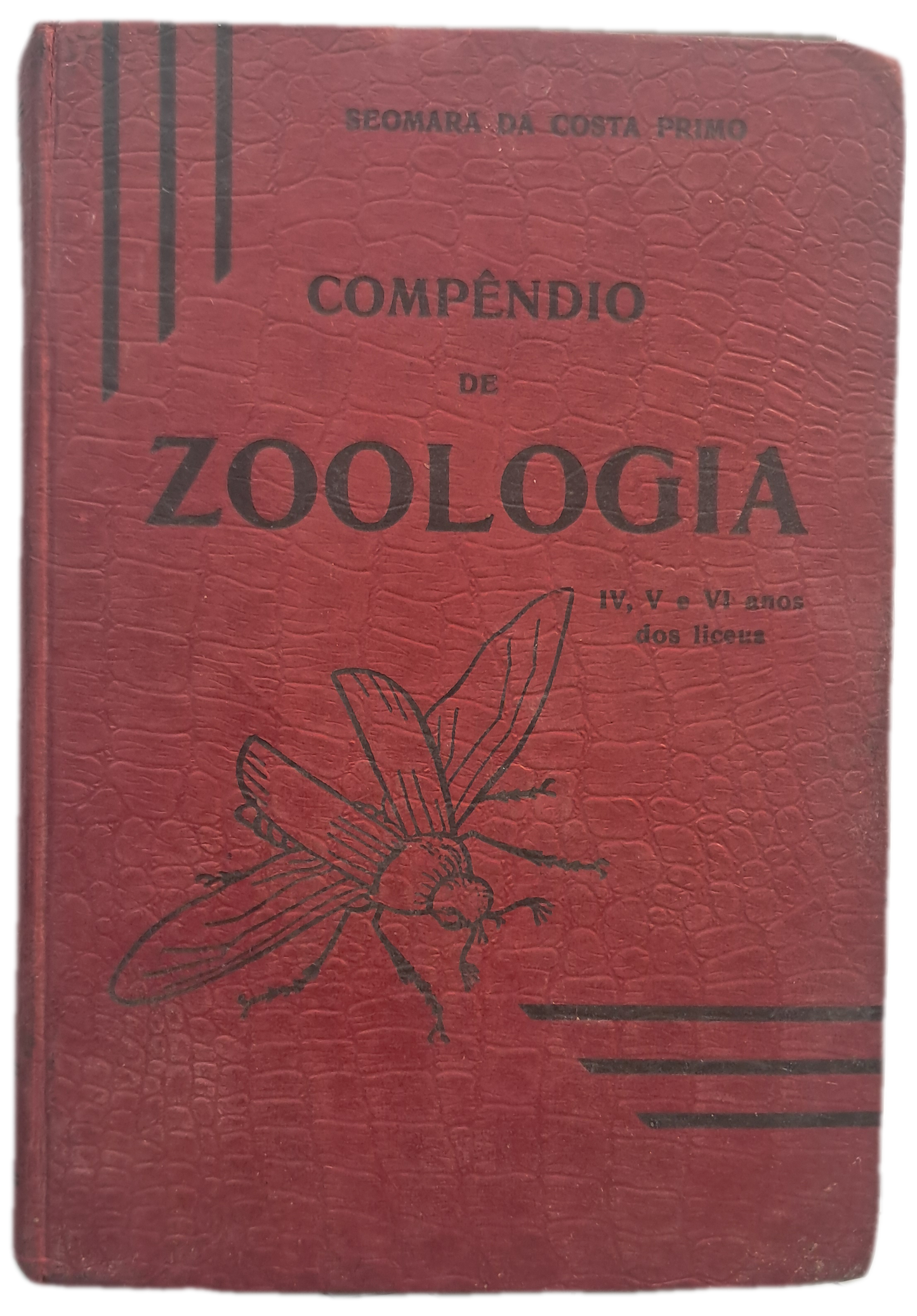 Compêndio de Zoologia (Usado)