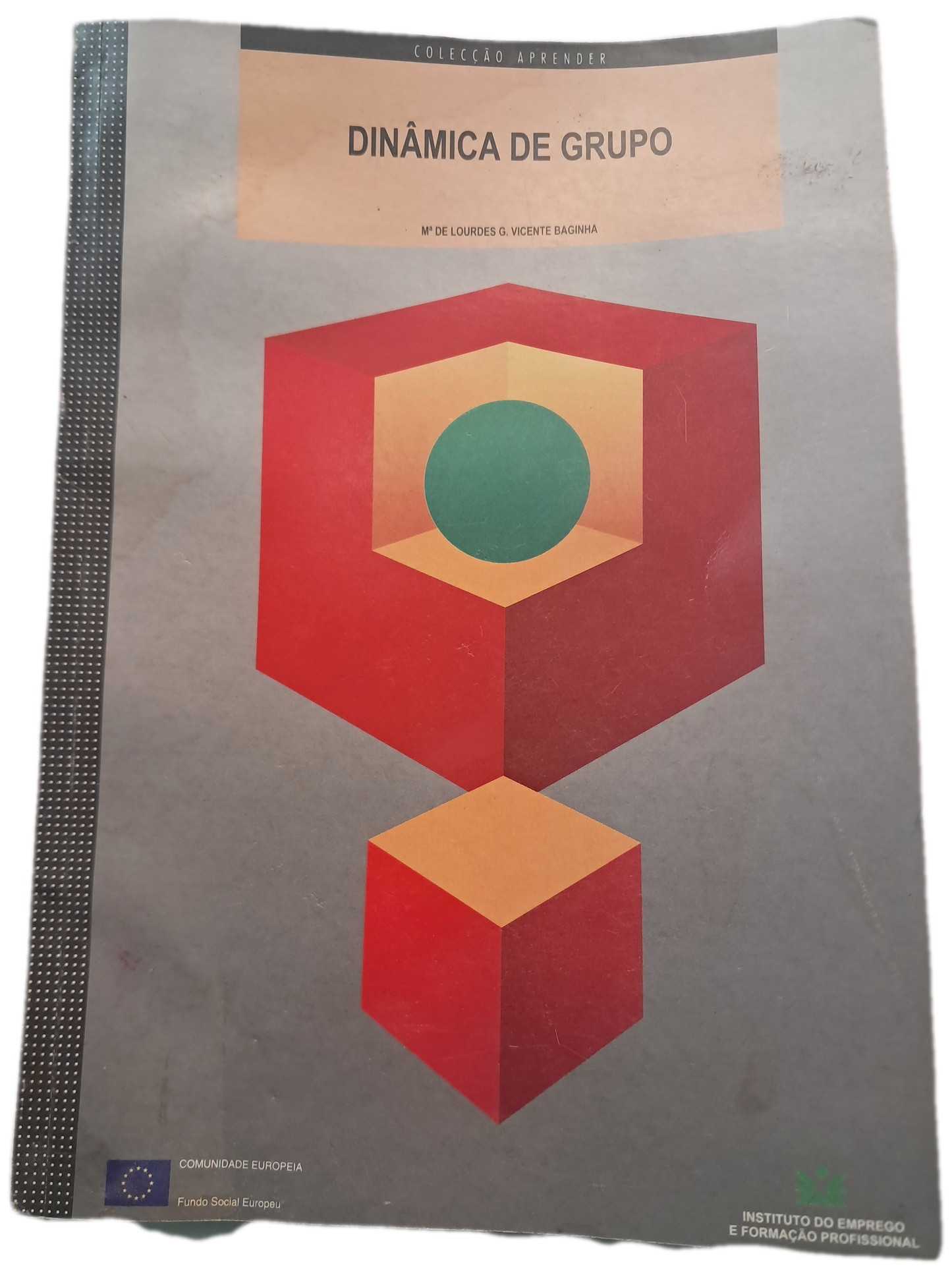 Dinâmica de Grupo (Danificado Apanhou Humidade)