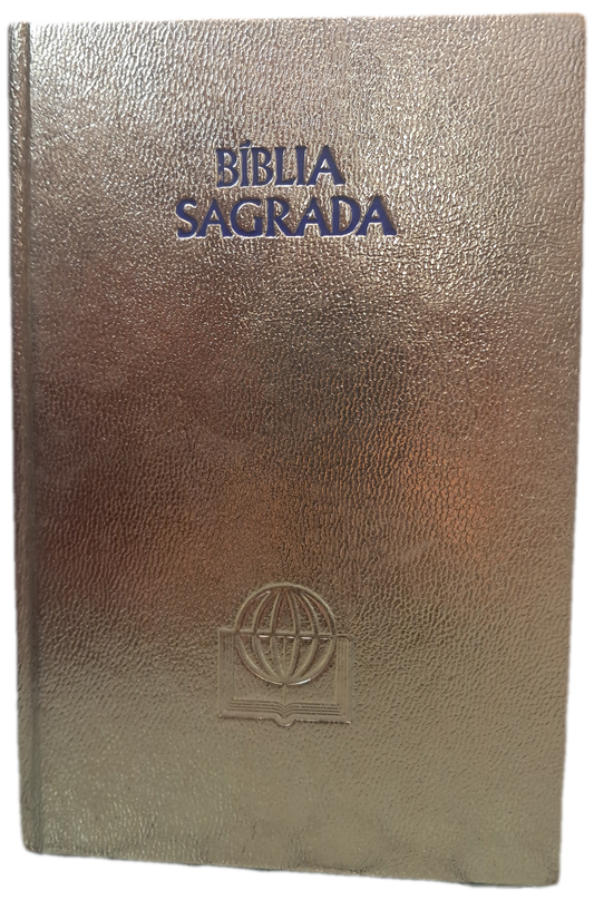 A Biblia Sagrada contendo o Velho e o Novo Testamento (Bom Estado)